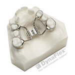 palatal expander model